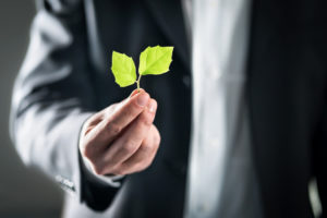 An Impact Trailblazer research image with a business professional holding a small green leaf.