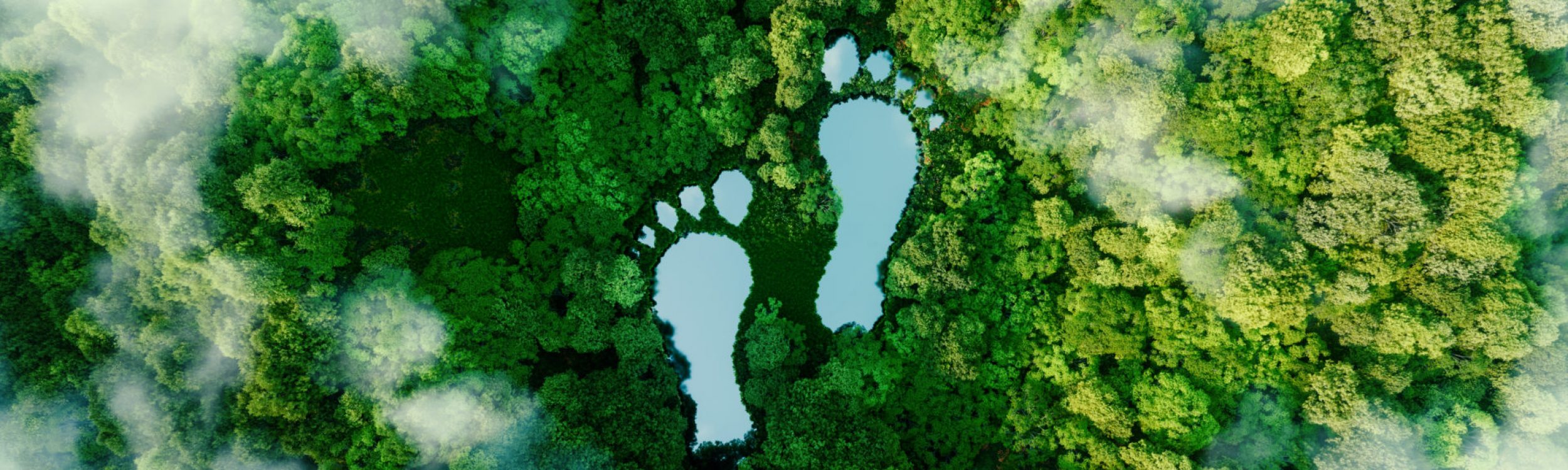 A lake in the shape of human footprints in the middle of a lush forest as a metaphor for the impact of human activity on the landscape and nature in general. 3d rendering.