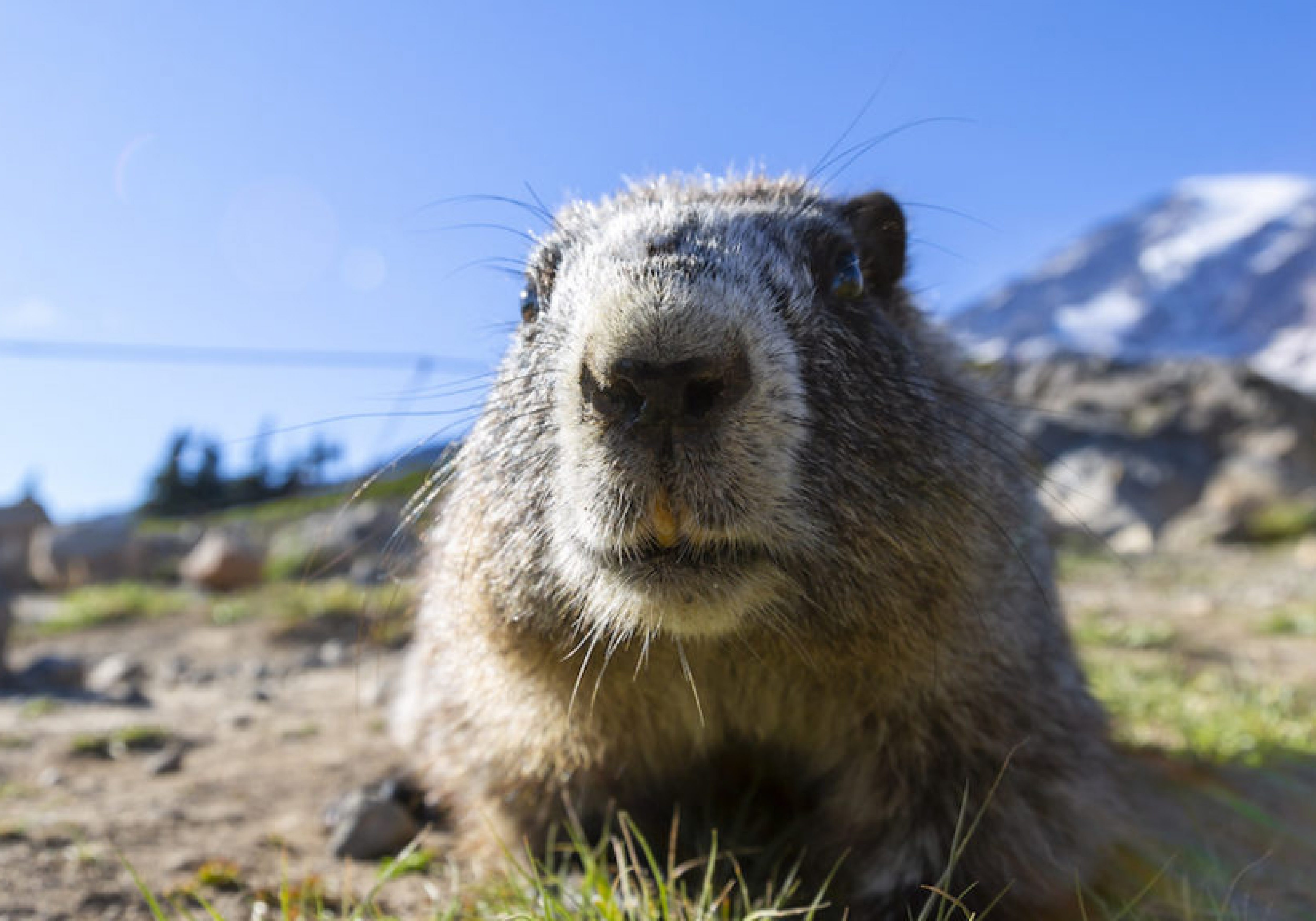 How to escape ESG compliance’s ‘Groundhog Day’