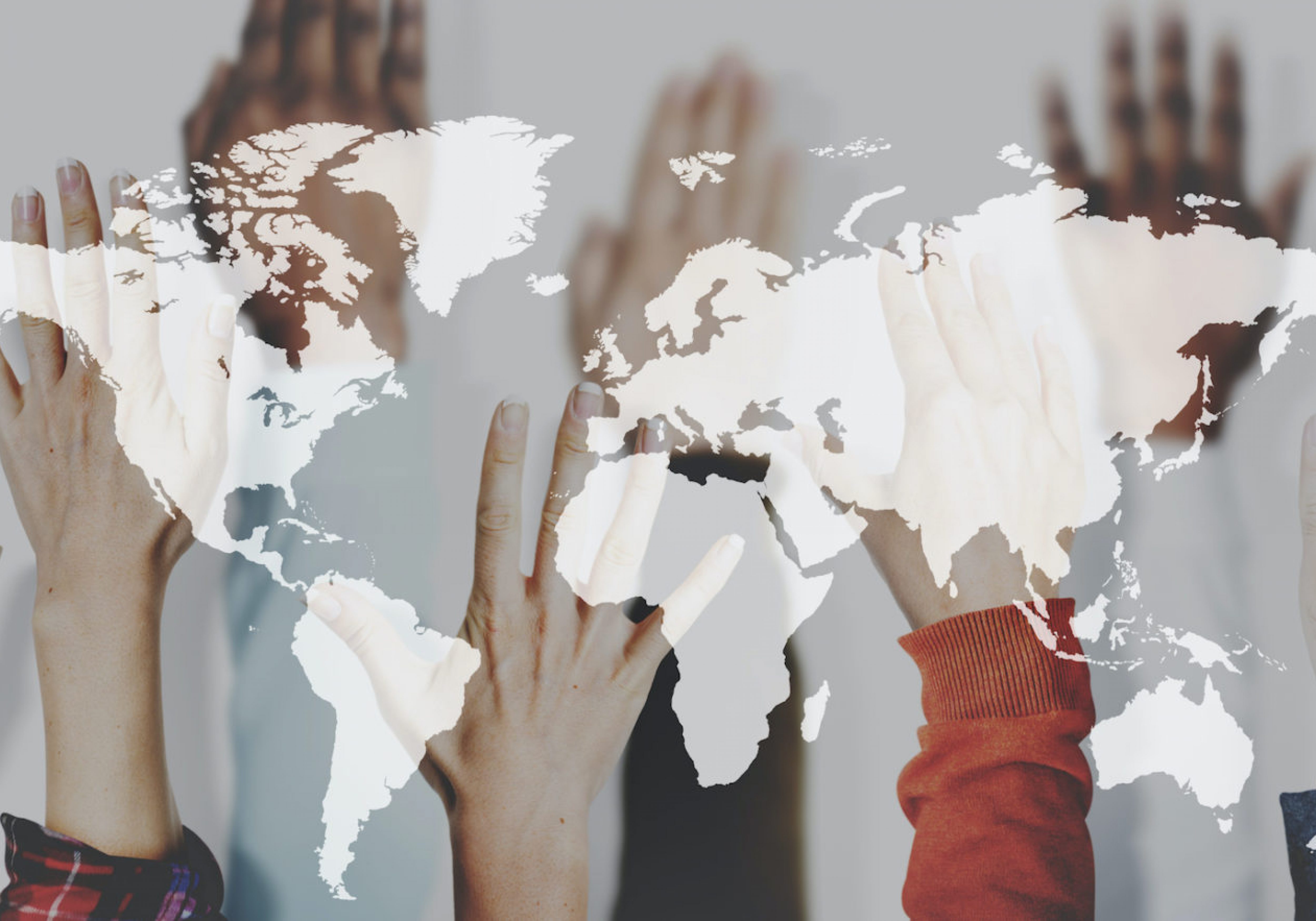 Business Impact: How to manage a cross-cultural team to success